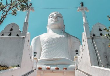 The Absolute Best Things To Do In Kandy, Sri Lanka